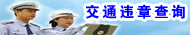 交通违章查询