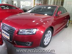 奥迪(进口),奥迪A52010款 2.0T coupe