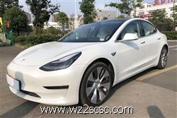 特斯拉Model3(进口）