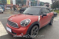 MINI PACEMAN