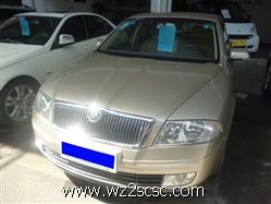上海大众斯柯达,明锐2009款 1.6L16V 手自动一体逸仕版
